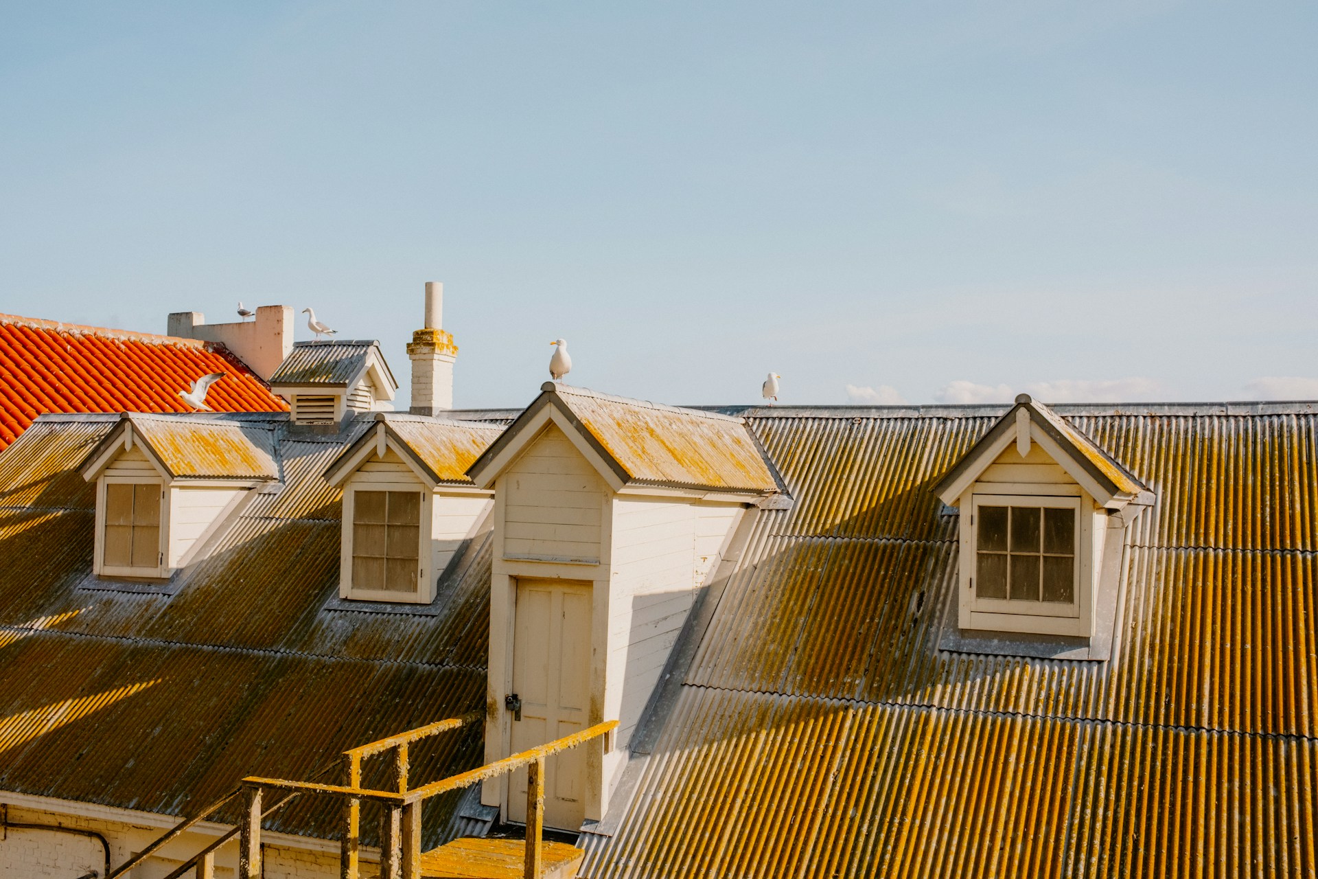 roof molds