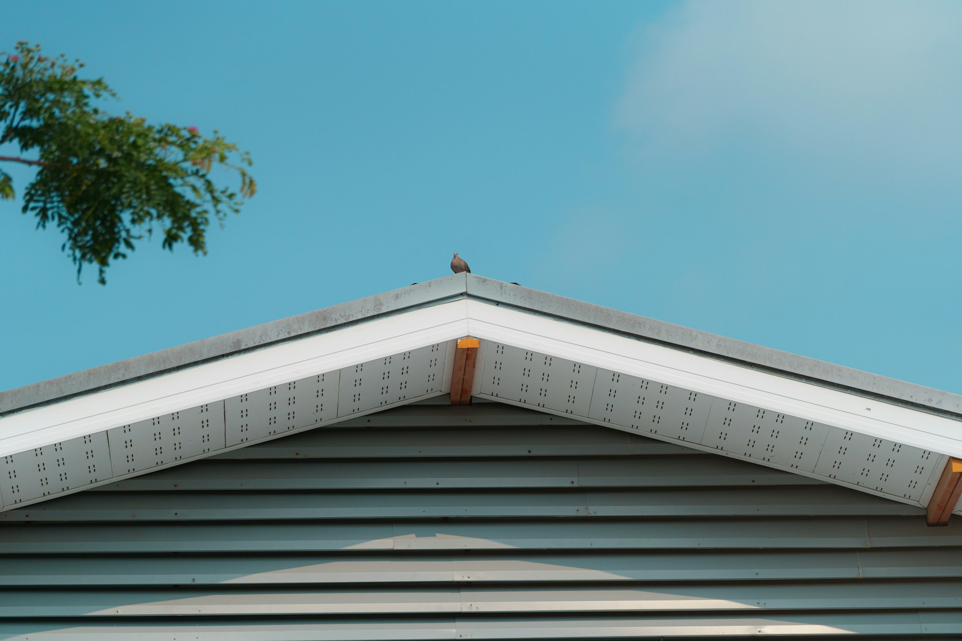 roof siding